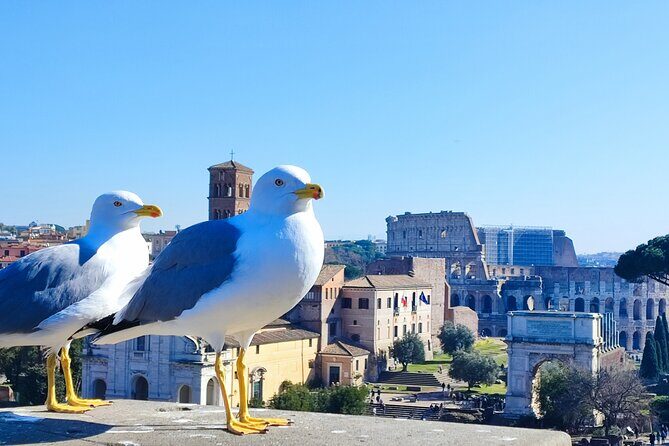 Colosseum, Roman Forum & Palatine Hill - Group Tour - A Rome classic, built for people who hate waiting