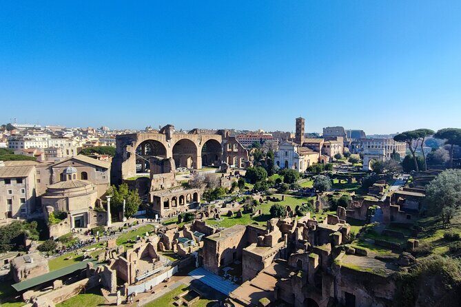 Colosseum, Roman Forum & Palatine Hill - Group Tour - Roman Forum: the political and religious center of Rome