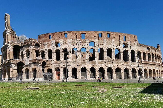 Colosseum with Arena Floor, Roman Forum and Palatine Hill - Private Tour - Arena-floor access at the Colosseum: what you gain immediately
