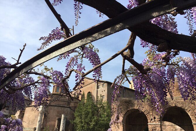 Colosseum with Arena Floor, Roman Forum and Palatine Hill - Private Tour - Palatine Hill ruins of the Imperial Palace: what to focus on