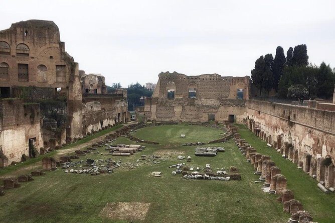 Colosseum with Arena Floor, Roman Forum and Palatine Hill - Private Tour - Price and value: is $337.15 per person fair?