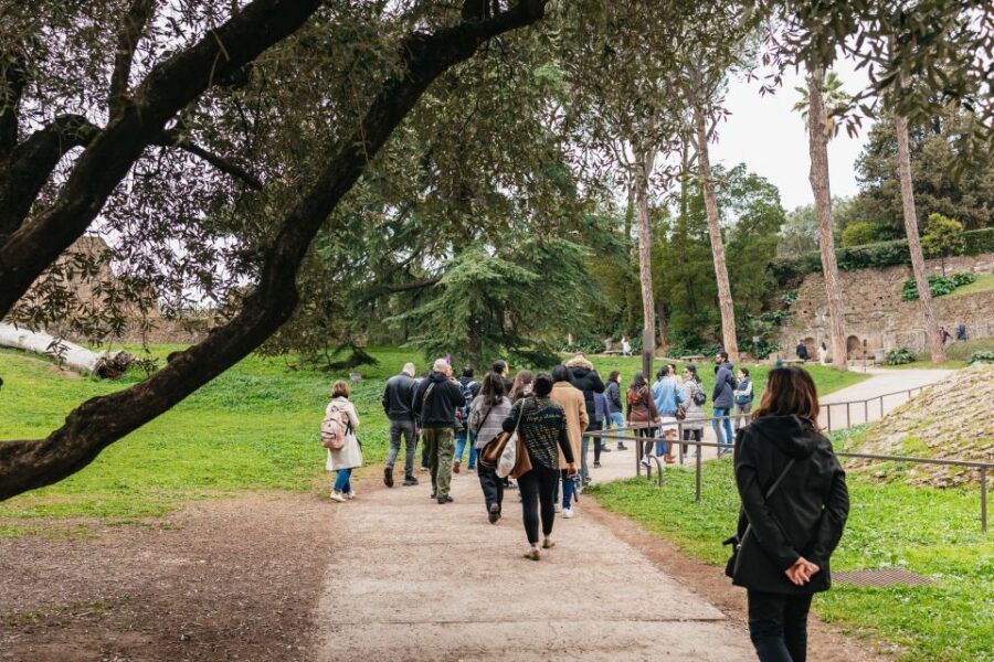 Rome: Colosseum, Palatine Hill & Roman Forum Guided Tour - A quick guide to what you’ll actually see inside