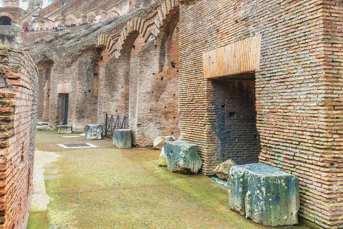 Rome Exclusive Private Colosseum Tour - What to expect on the Colosseum walk itself