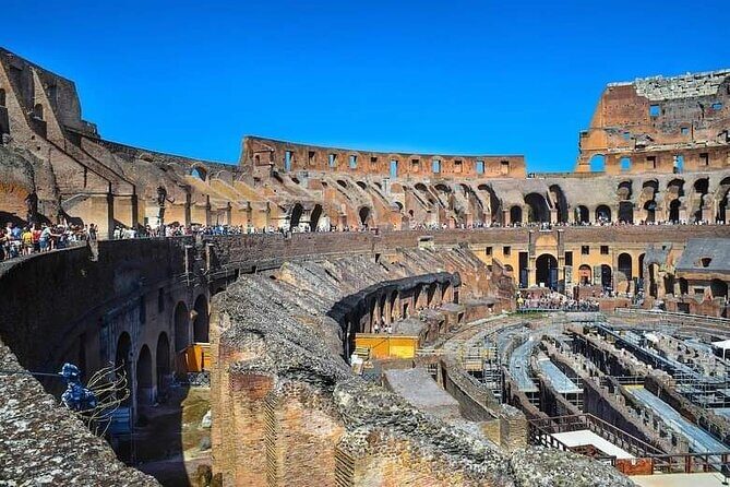 Tour of the Colosseum - Roman Forum and Palatine Hill: guided to the entrance, then free time
